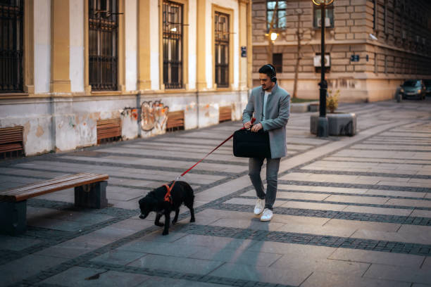 istock Businessman with a dog on a leash 1365924862