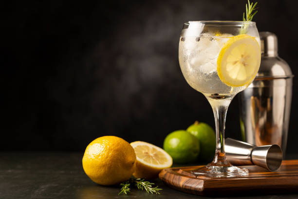 gin tonic adornado con limón y romero. - alcohol fotografías e imágenes de stock