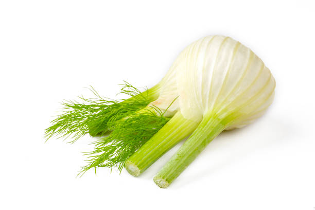 istock Fresh fennel bulb isolated on white background 1365932189