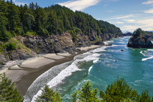 istock Elevated view of rocky coastline and forest 1365934355