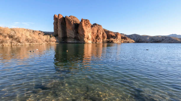 Desert landscape
