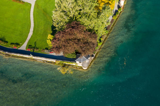 вид с воздуха на ранний утренний свет на озере и в парке - thun aerial view switzerland tree стоковые фото и изображения