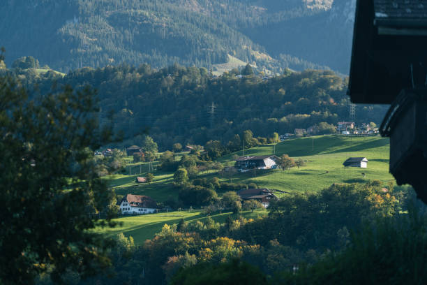 вид с крыши шале на пышную долину и лес - thun aerial view switzerland tree стоковые фото и изображения
