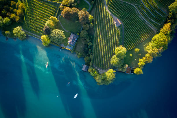 вид дрона на ранний утренний свет на озере и пышную береговую линию - thun aerial view switzerland tree стоковые фото и изображения