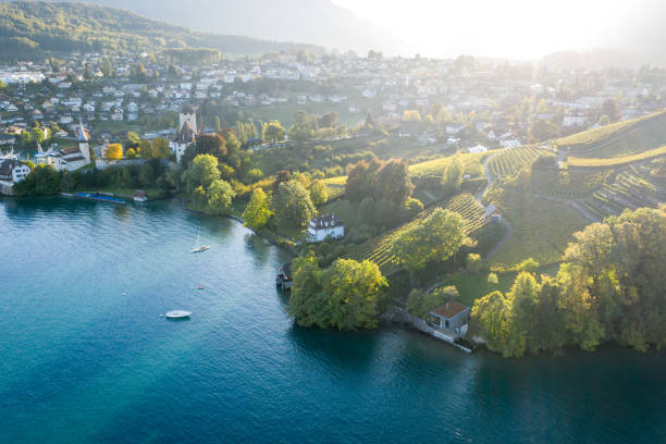 drohnenansicht des frühen morgenlichts am see und der üppigen küste - switzerland green thun aerial view stock-fotos und bilder