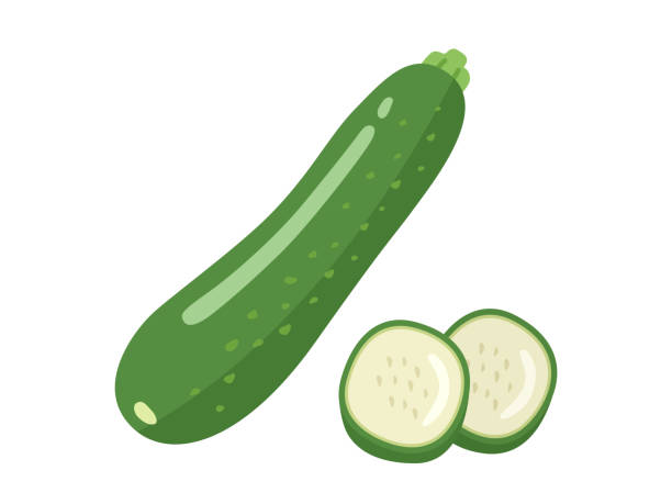 ilustrasi bahan zucchini nabati. - zukini ilustrasi stok