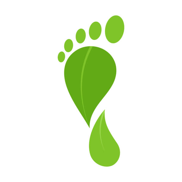 Green footprint icon, label Green footprint icon isolated on white background. CO2 neutral eco stamp, carbon neutral. Vector foot steps logo stock illustrations