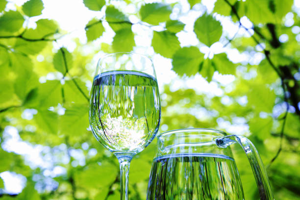 An image of a blessing from pure nature, filled with a glass against a refreshing fresh green background
