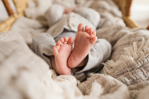 Tiny foot of a newborn. Soft legs of a newborn in blue wool overalls on a background of brown natural wood. Macro photo of the toes, heels and feet of a newborn.
