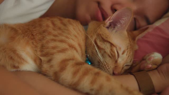 Asian woman sleeping and hug kitten cat on the bed at home.