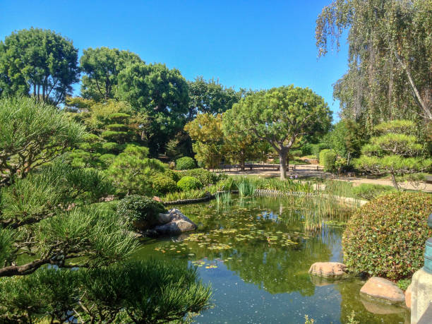 istock Earl Burns Miller Japanese Garden 1365975649