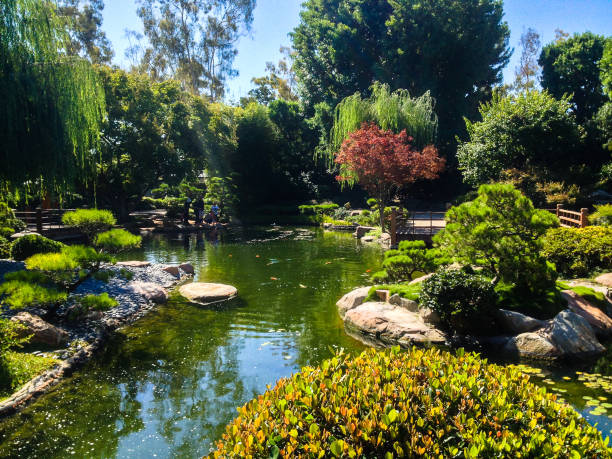 istock Earl Burns Miller Japanese Garden in Long Beach, CA 1365975654