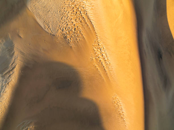 istock Wind created patterns in the red sand of dunes from above 1365984003
