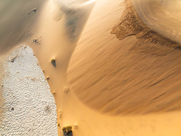 istock Abstract background cracked mud and desert dunes 1365984013