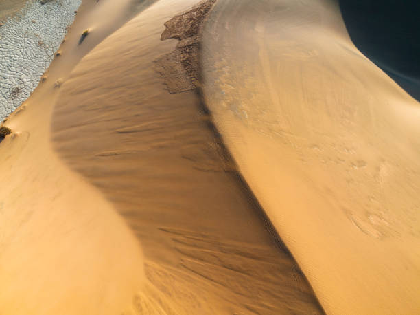 istock Curved sand dune crest white cracked mud and shadows 1365984017