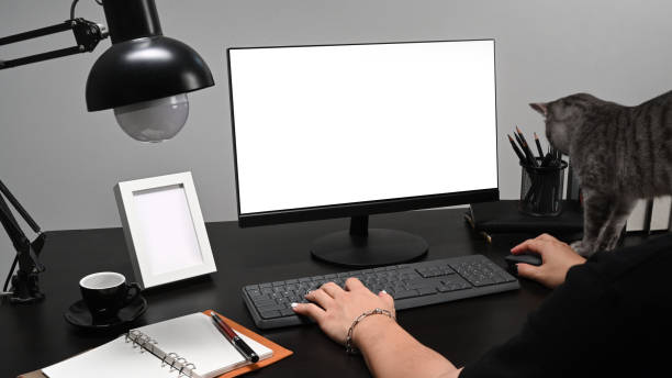 istock Close up view young man freelancer working with modern computer at home. 1365984154
