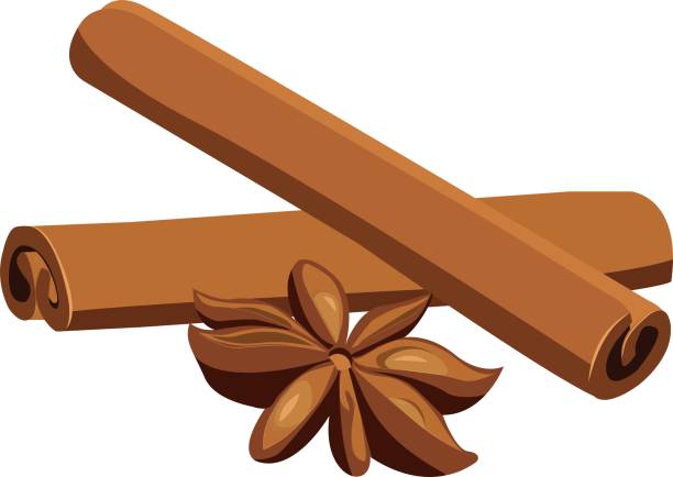 stockillustraties, clipart, cartoons en iconen met anise star and cinnamon sticks isolated on the white background - kaneel