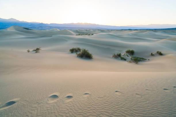hermoso paisaje de mesquite flat sand dunes. parque nacional del valle de la muerte, california, estados unidos. - sand dune sand orange california fotografías e imágenes de stock