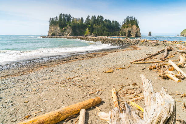 istock Second beach at mt. Olympic national park,Washington,usa. 1365988703
