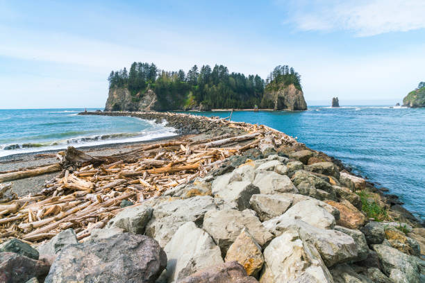 Second beach at mt. Olympic national park,Washington,usa.