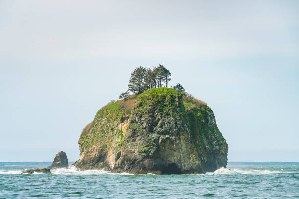 istock Second beach at mt. Olympic national park,Washington,usa. 1365988706