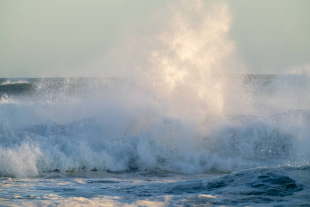 istock Cyclone Cody large waves and swells at Mount Maunganui 1365989498