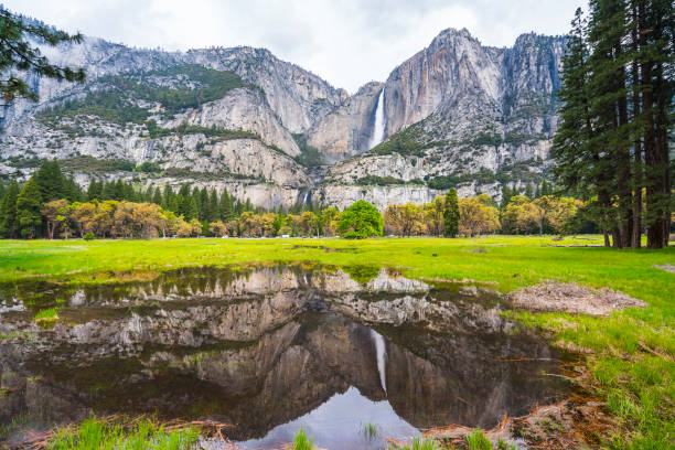 요세미티 국립 공원, 캘리포니아, 미국에서 상부 폭포. - yosemite national park 뉴스 사진 이미지