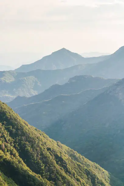 Photo of mountain view in sequoia national park,sequoia np,california,usa.