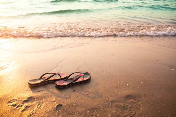 istock Flip flops or sandals for woman on sand beach at coast 1365989613