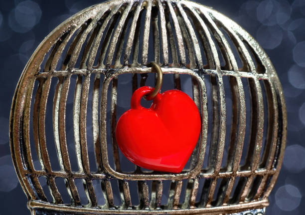istock Shiny red heart in a vintage birdcage 1365991799