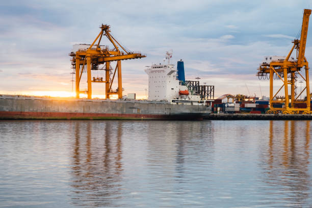 istock Goods depart cranes cargo freight ship in harbor background at sunset 1365993268