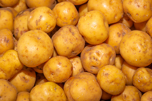 Yellow creole potato for sale