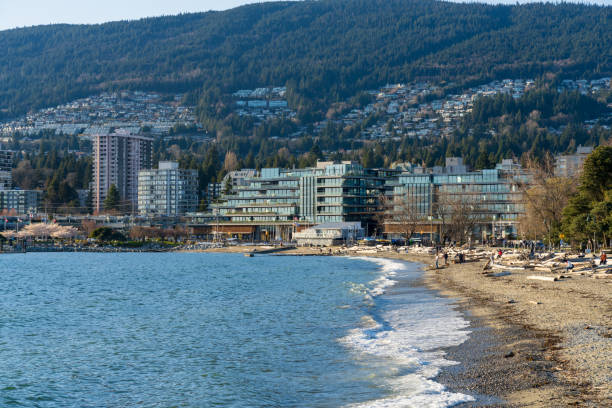 Ambleside Park Beach in springtime. West Vancouver, BC, Canada. West Vancouver, BC, Canada - April 12 2021 : Ambleside Park Beach in springtime. west vancouver stock pictures, royalty-free photos & images