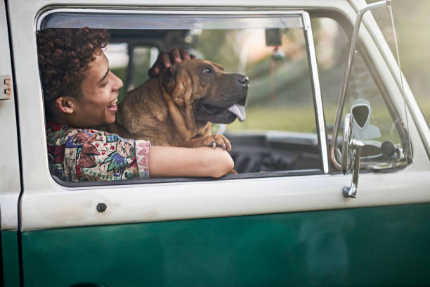 Side view photographed through open passenger window of mid 20s African-American man in casual clothing holding pet canine and smiling.