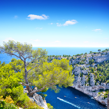 The cliffs of the Calanques are a natural wonder nestled near Marseille, France