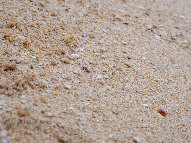 istock Sand background texture. Close-up of coarse sand grains 1365998218