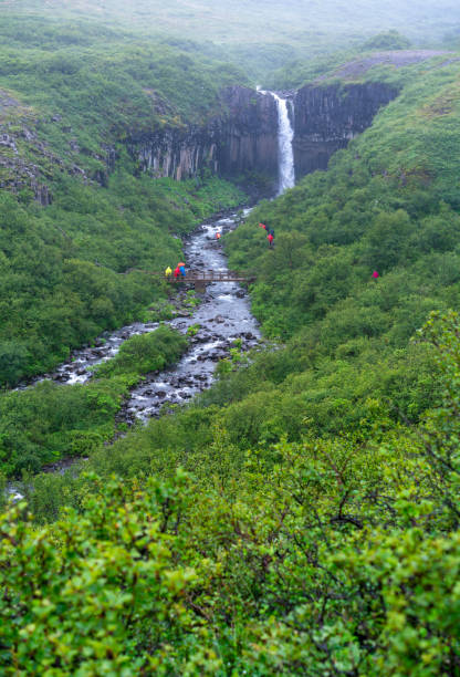 svartifoss waterfall, vatnajokull national park, iceland - skaftafell national park stockfoto's en -beelden