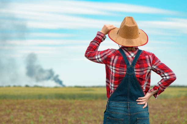 Concerned female farmer in corn field looking at black smoke on horizon, concept of insurance in agriculture and farming