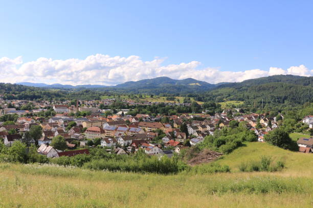 istock Midsummer in the southern Black Forest 1366000919