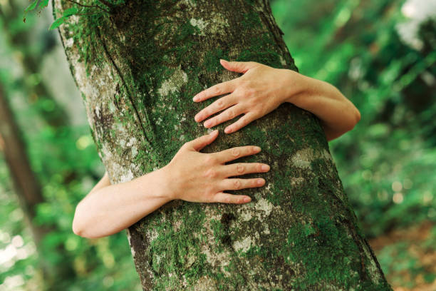 環境保護主義者の木の抱擁者は森の中で木の幹を抱きしめている - 木を抱く ストックフォトと画像
