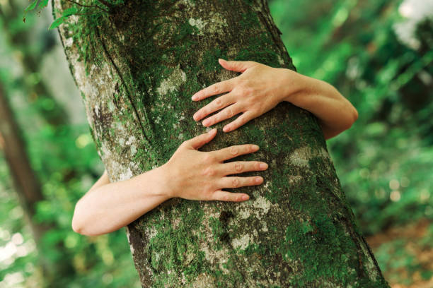 istock Environmentalist tree hugger is hugging wood trunk in forest 1366001185