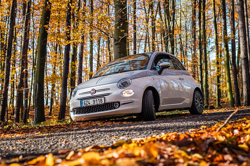 Otrokovice, Czech Republic - November 14, 2019: white and gray modern car Fiat 500 Collezione parked on country road in autumn forest