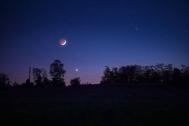 istock Tree silhouettes, stars, planets and Moon on evening sky. 1366003928