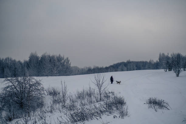 istock Heavy snowfall in Moscow. New Year Eve 1366004671