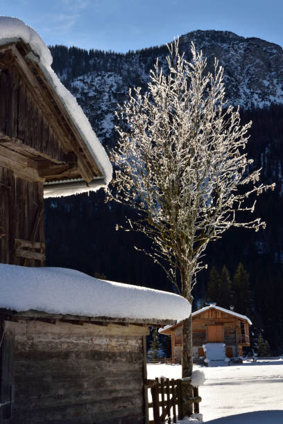 istock Visdende Valley  and Peralba Mount in Winter season, Dolomites mountains, Italy 1366005338