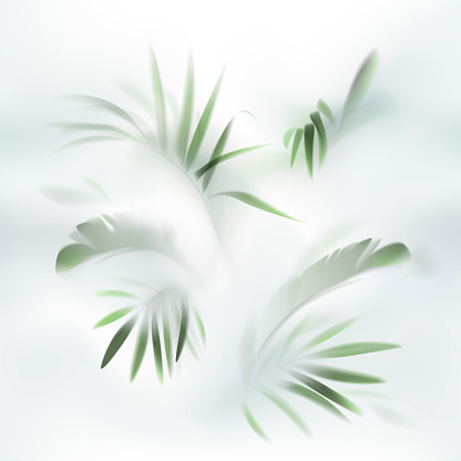 istock The seamless pattern with palm and banana leaves in the fog 1366009065