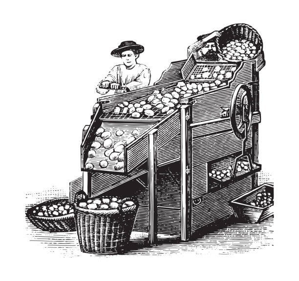 illustrations, cliparts, dessins animés et icônes de ancienne machine à récolter des pommes de terre - illustration vintage - raw potato farm agriculture farm worker