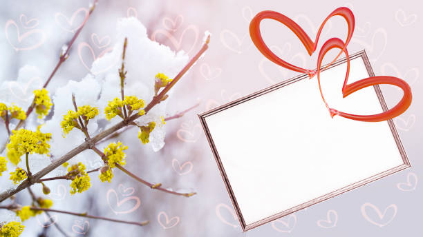 Text frame, two hearts on a defocused background of flowering branches and snow, bokeh in the shape of hearts stock photo
