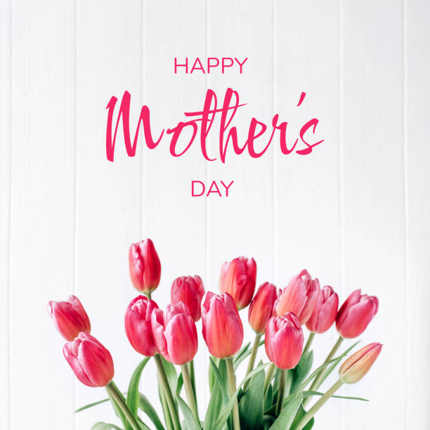 Fresh tulip flowers on a white wooden background. Bright spring background.