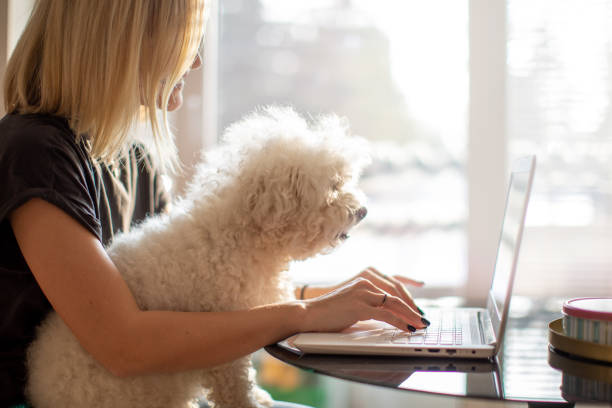 istock Young woman using laptop with her dog at home 1366017492